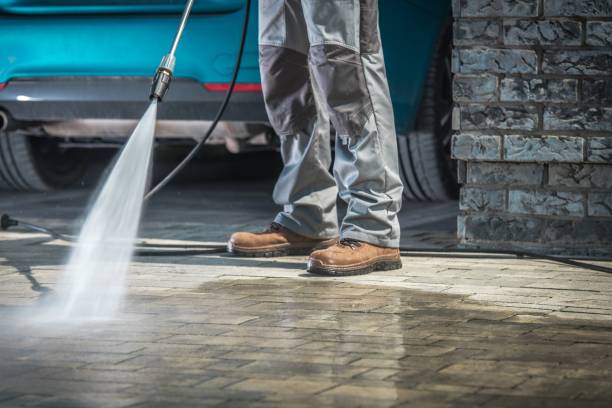 Professional  Pressure Washing Services in Alamo, TN