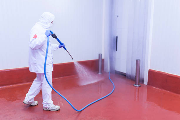 Best Pre-Holiday Cleaning  in Alamo, TN