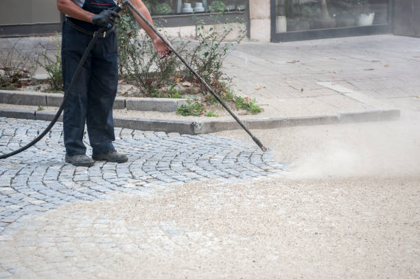 Best Animal Enclosure Cleaning  in Alamo, TN