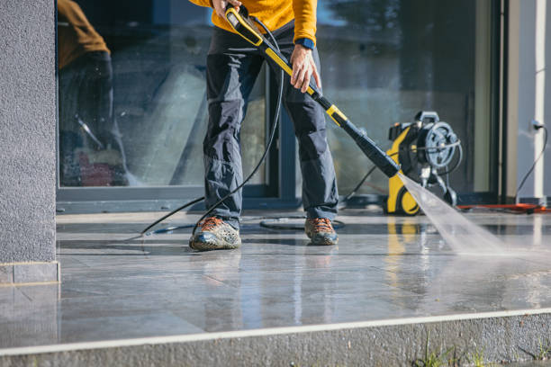 Best Solar Panel Cleaning  in Alamo, TN