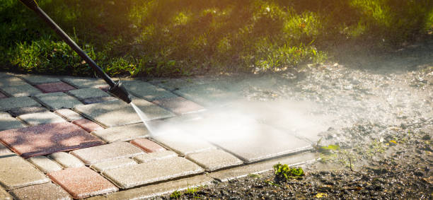 Best Fence Cleaning  in Alamo, TN