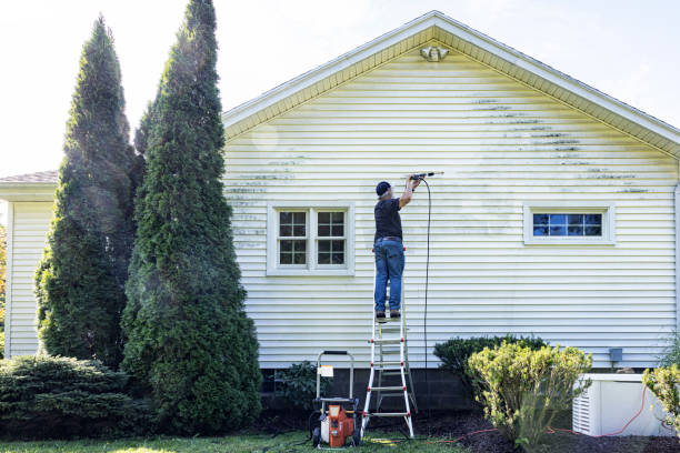 Best Gutter Cleaning  in Alamo, TN